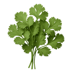 Pokeni - Topping - Feuille de Coriandre